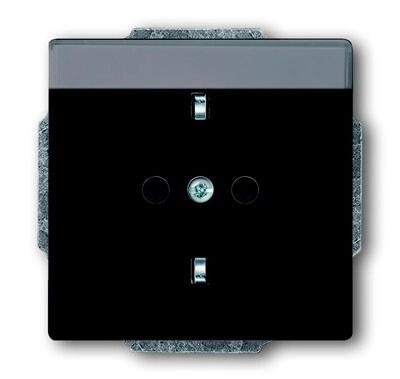 Розетка SCHUKO 16А 250В с полем для надписи, серия solo/future, цвет антрацит | 2011-0-3802 | 2CKA002011A3802 | ABB