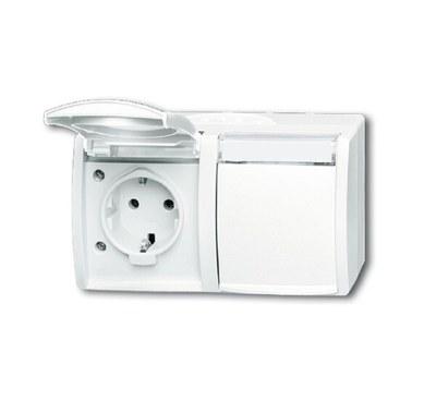 Розетка SCHUKO 16А 250В IP44, двойная, горизонтальная, поле для надписи, для открытого монтажа, ocean, альпийский белы | 2CKA002084A0715 | ABB
