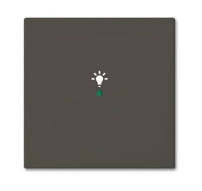 SRL-1-95 Клавиша одинарная free@home, освещение, Basic 55, цвет chateau-black | 6220-0-0687 | 2CKA006220A0687 | ABB