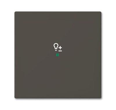 SRD-1-95 Клавиша одинарная free@home, светорегулятор, Basic 55, цвет chateau-black | 6220-0-0690 | 2CKA006220A0690 | ABB