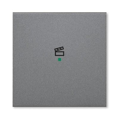 ABB Levit Сталь Клавиша 1-ая с символом сцены free@home | 6220H-A01003 69 | 2CHH621003A4069 | ABB