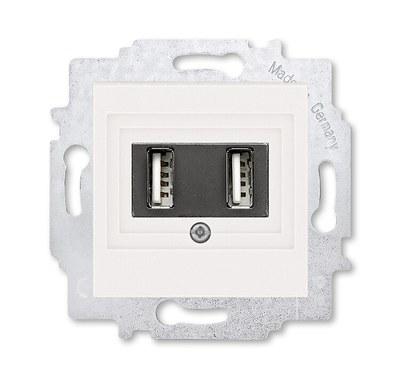 ABB Levit Жемчуг USB зарядка 2-ая | 5014H-A00040 68W | 2CHH290040A6068 | ABB