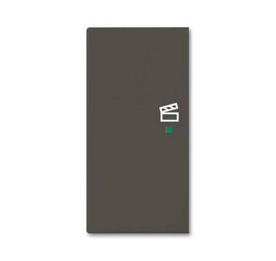 SRS-2-L-95 Клавиша двойная левая free@home, сцена, Basic 55, цвет chateau-black | 6220-0-0694 | 2CKA006220A0694 | ABB