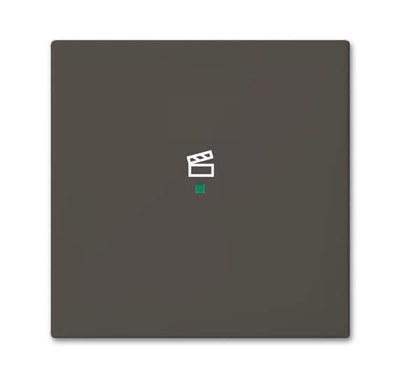 SRS-1-95 Клавиша одинарная free@home, сцена, Basic 55, цвет chateau-black | 6220-0-0689 | 2CKA006220A0689 | ABB